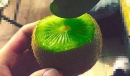 抖音網(wǎng)紅吃瓜百度,揭秘百度背后的秘密