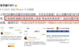 天康最新爆料信息,揭秘行業(yè)變革背后的秘密與機(jī)遇