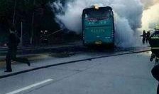 惠州汽車最新爆料,揭秘即將上市的熱門車型！