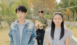 甜蜜的冤家在線觀看,在線觀看，浪漫糾葛甜蜜來襲